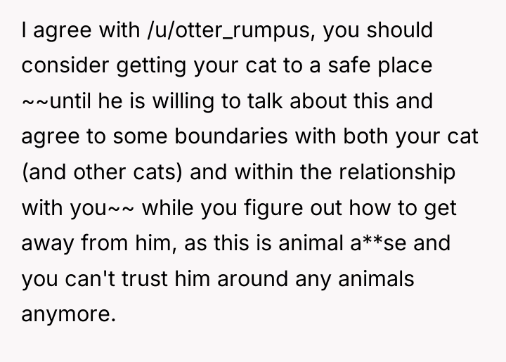I agree with /u/otter_rumpus, you should consider getting your cat...