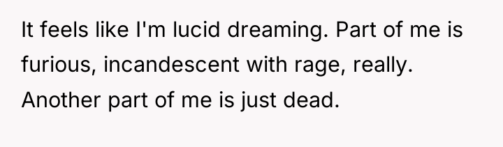 It feels like I'm lucid dreaming. Part of me is...