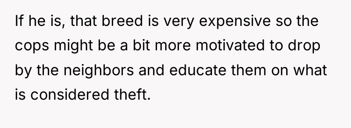 If he is, that breed is very expensive so the...