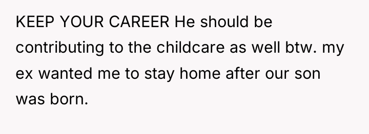 KEEP YOUR CAREER He should be contributing to the childcare...