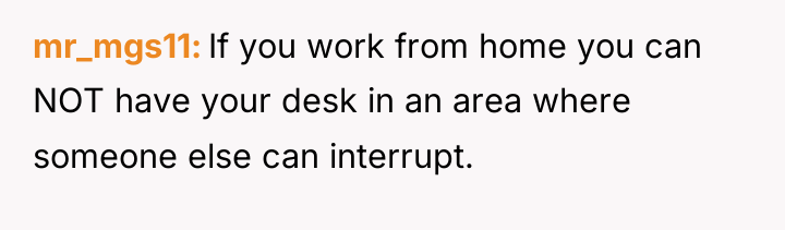 mr_mgs11 If you work from home you can NOT have...