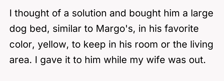 I thought of a solution and bought him a large...