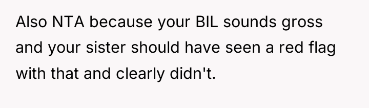 Also NTA because your BIL sounds gross and your sister...