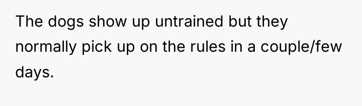 The dogs show up untrained but they normally pick up...