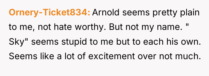 Ornery-Ticket834 Arnold seems pretty plain to me, not hate worthy....