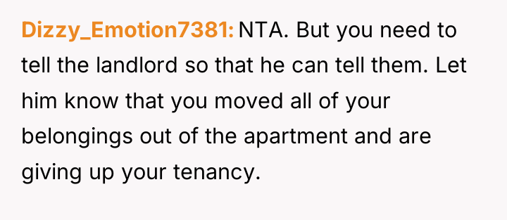 Dizzy_Emotion7381 NTA. But you need to tell the landlord so...