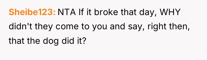 Sheibe123 NTA If it broke that day, WHY didn't they...