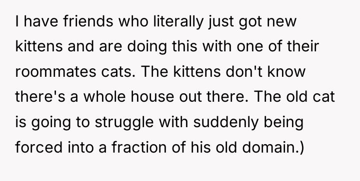 I have friends who literally just got new kittens and...