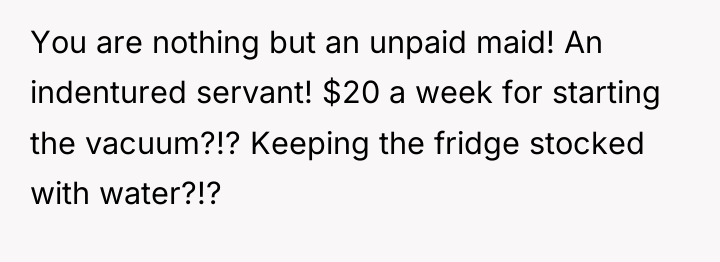 You are nothing but an unpaid maid! An indentured servant!...