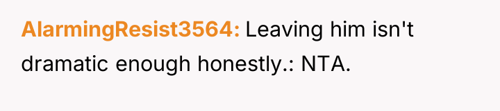 AlarmingResist3564 Leaving him isn't dramatic enough honestly.: NTA.