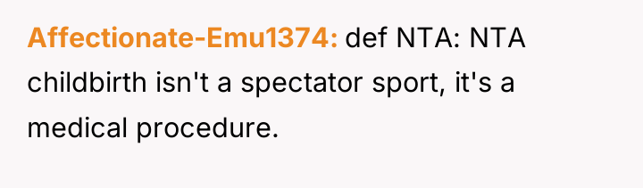 Affectionate-Emu1374 def NTA: NTA childbirth isn't a spectator sport, it's...