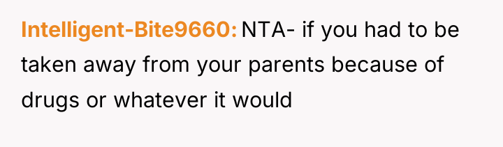 Intelligent-Bite9660 NTA- if you had to be taken away from...