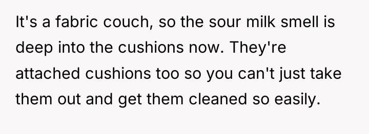 It's a fabric couch, so the sour milk smell is...