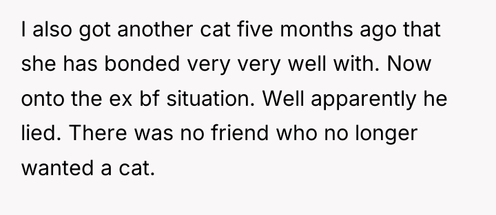I also got another cat five months ago that she...