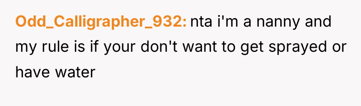 Odd_Calligrapher_932 nta i'm a nanny and my rule is if...