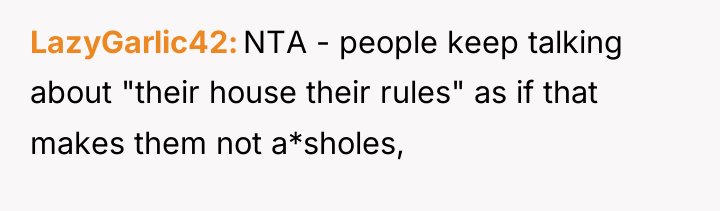 LazyGarlic42 NTA - people keep talking about "their house their...