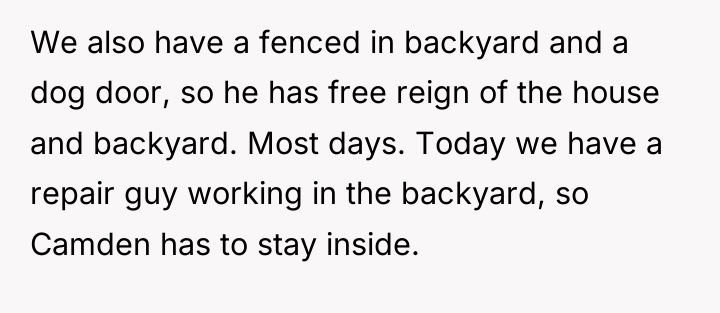 We also have a fenced in backyard and a dog...