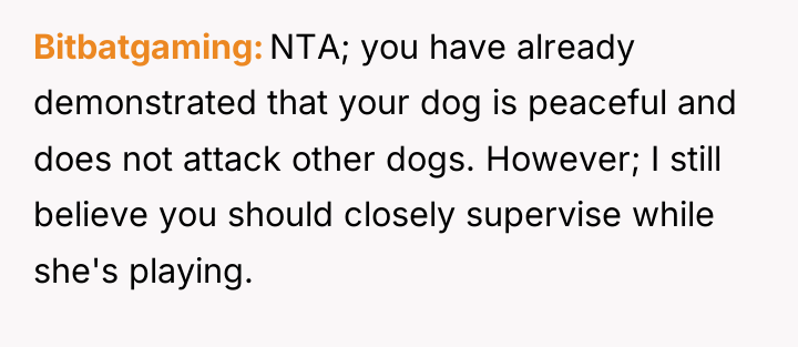 Bitbatgaming NTA; you have already demonstrated that your dog is...
