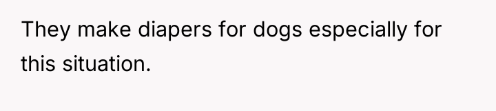 They make diapers for dogs especially for this situation.