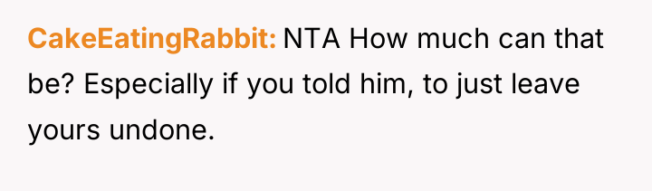CakeEatingRabbit NTA How much can that be? Especially if you...
