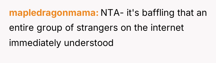 mapledragonmama NTA- it's baffling that an entire group of strangers...
