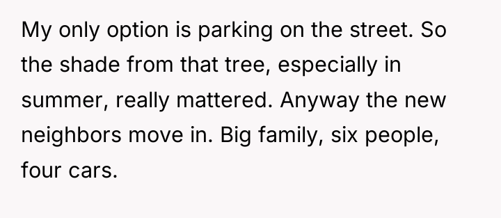 My only option is parking on the street. So the...
