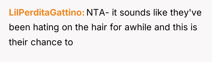 LilPerditaGattino NTA- it sounds like they've been hating on the...