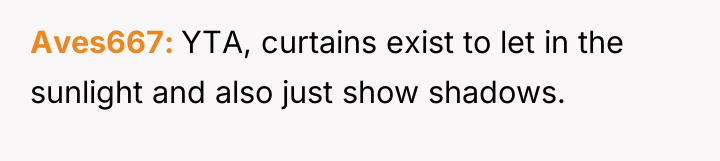 Aves667 YTA, curtains exist to let in the sunlight and...