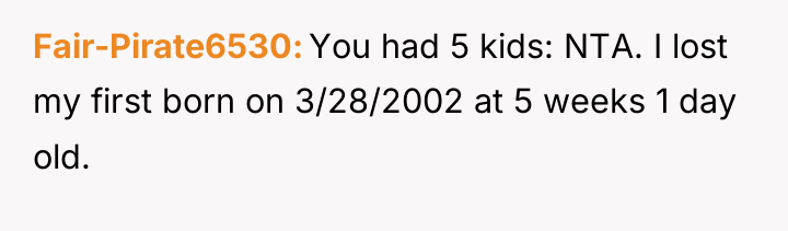 Fair-Pirate6530 You had 5 kids: NTA. I lost my first...