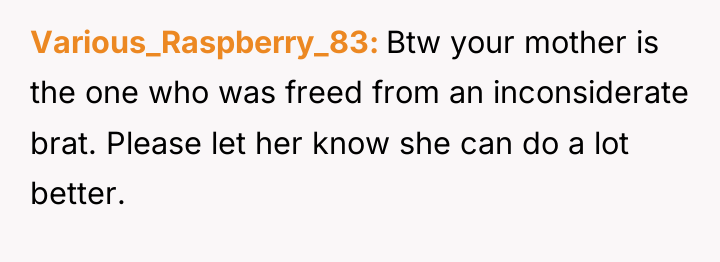 Various_Raspberry_83 Btw your mother is the one who was freed...