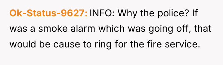 Ok-Status-9627 INFO: Why the police? If was a smoke alarm...