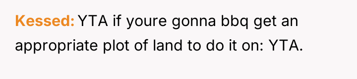Kessed YTA if youre gonna bbq get an appropriate plot...