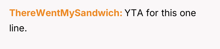 ThereWentMySandwich YTA for this one line.