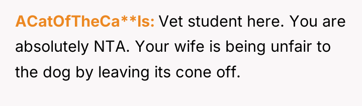 ACatOfTheCa**ls Vet student here. You are absolutely NTA. Your wife...