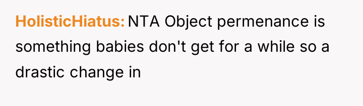 HolisticHiatus NTA Object permenance is something babies don't get for...