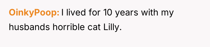 OinkyPoop I lived for 10 years with my husbands horrible...
