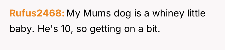 Rufus2468 My Mums dog is a whiney little baby. He's...