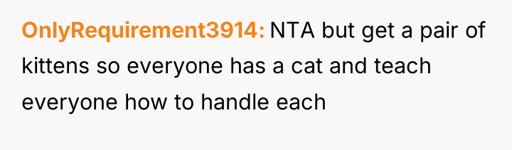 OnlyRequirement3914 NTA but get a pair of kittens so everyone...
