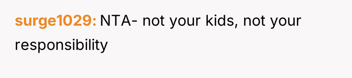 surge1029 NTA- not your kids, not your responsibility