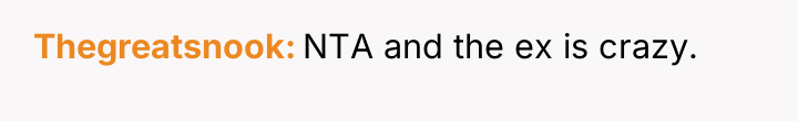 Thegreatsnook NTA and the ex is crazy.