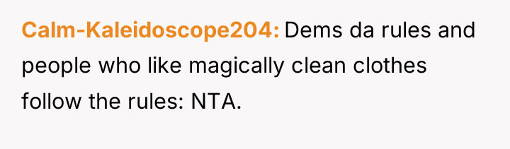 Calm-Kaleidoscope204 Dems da rules and people who like magically clean...