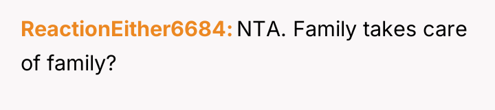 ReactionEither6684 NTA. Family takes care of family?