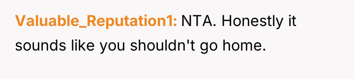 Valuable_Reputation1 NTA. Honestly it sounds like you shouldn't go home.