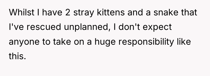 Whilst I have 2 stray kittens and a snake that...