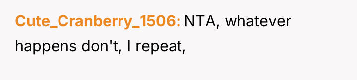 Cute_Cranberry_1506 NTA, whatever happens don't, I repeat,