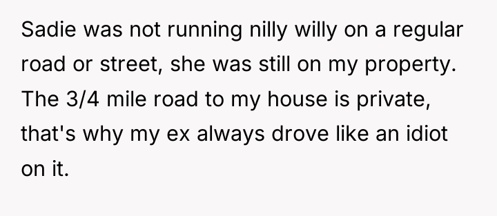 Sadie was not running nilly willy on a regular road...