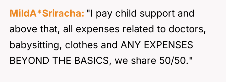 MildA*Sriracha "I pay child support and above that, all expenses...