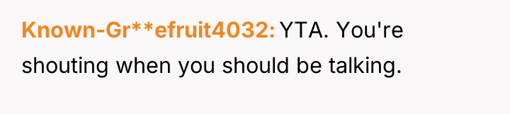 Known-Gr**efruit4032 YTA. You're shouting when you should be talking.