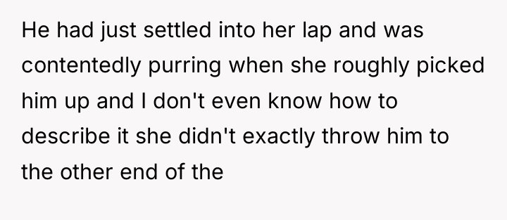 He had just settled into her lap and was contentedly...