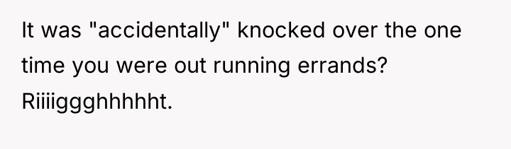 It was "accidentally" knocked over the one time you were...